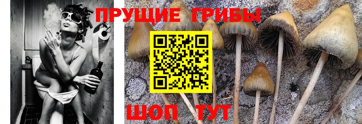 Галлюциногенные грибы мухоморы Ефремов